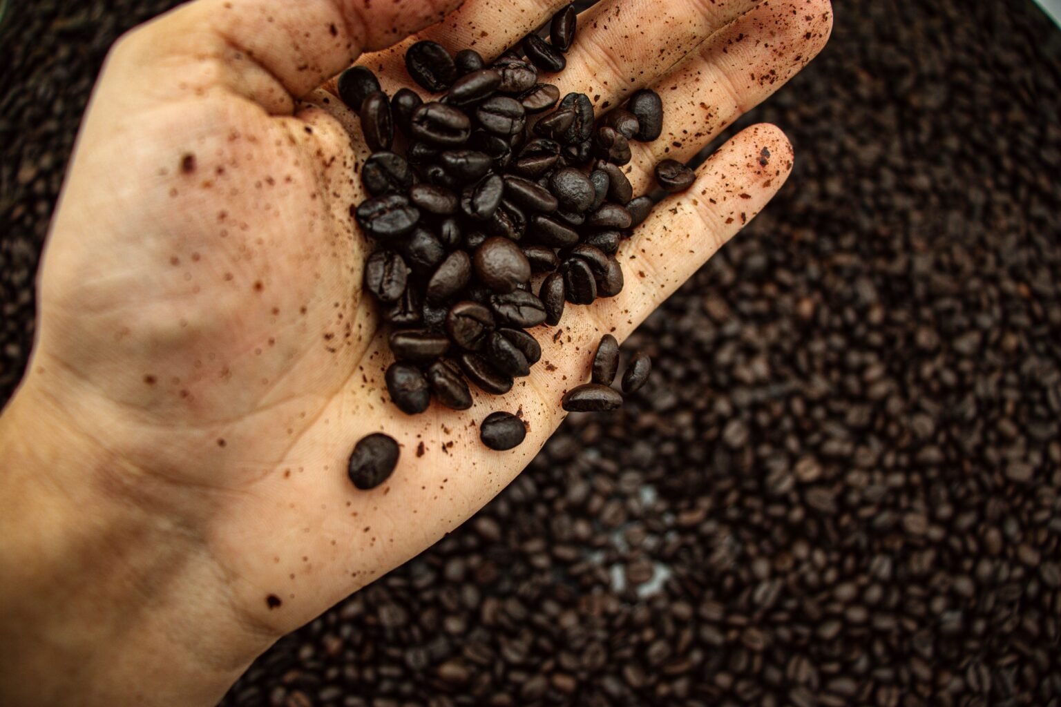 coffee beans image